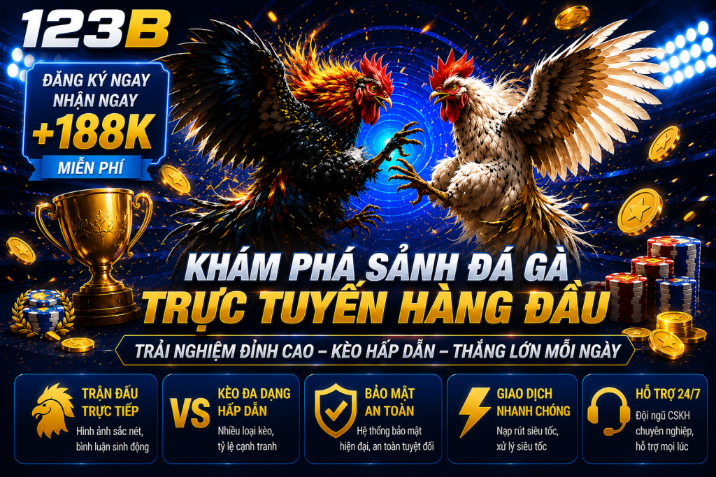 Đá Gà 123B – Sảnh Chọi Kê Online Livestream Rõ, Kèo Dễ Xem Và Thao Tác Nhanh
