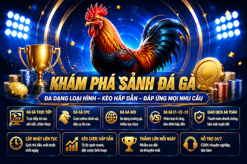 Các loại hình đá gà 123B với nhiều trận đấu trực tuyến và phong cách theo dõi khác nhau